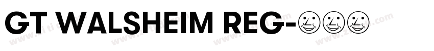 GT WALSHEIM REG字体转换 GT WALSHEIM REG字体转换